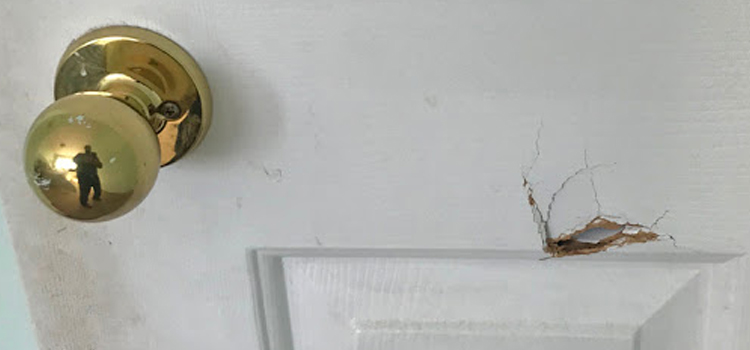 interior door hole repair Cotati