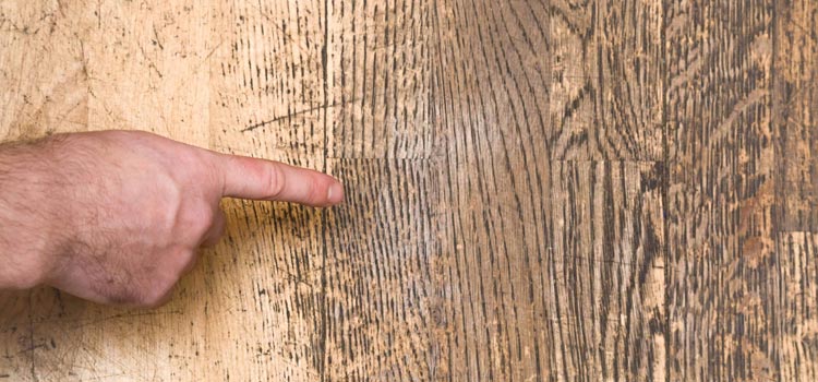 Wood Door Scratch Repair in Cotati